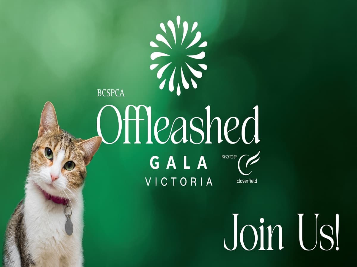 BC SPCA Offleashed Victoria Gala - A Special Celebration at Fairmont Empress Hotel