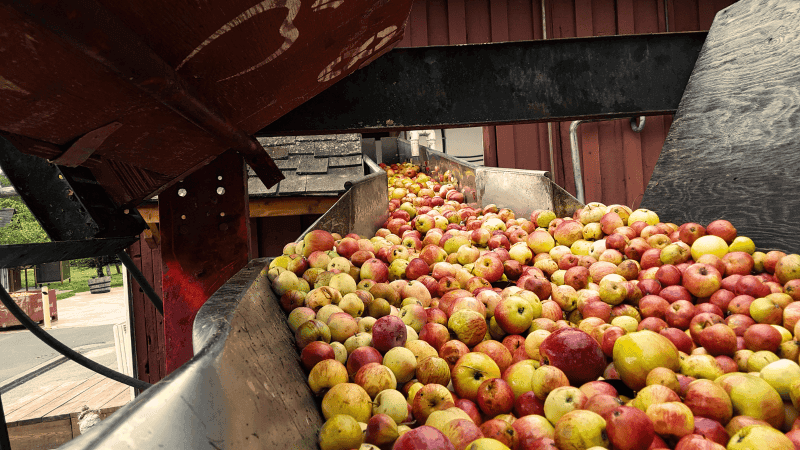 Poster for Apple Pressing at Merridale Cidery & Distillery