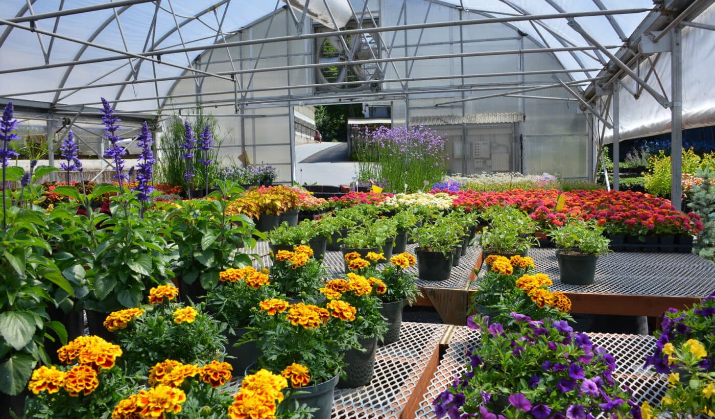 Poster for The Butchart Gardens: Greenhouse Tours