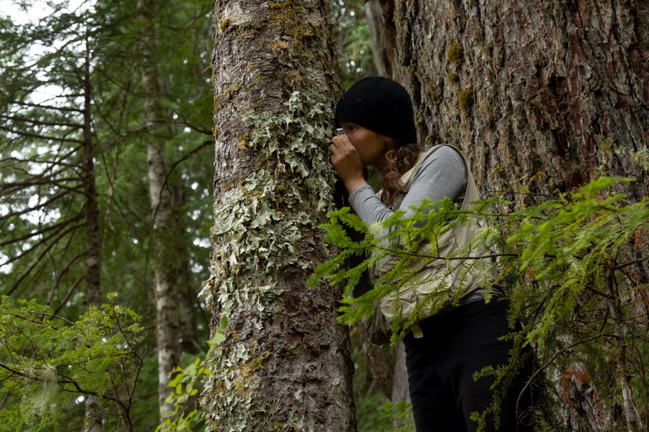 Guided Lichen Walk at Christmas Hill at Swan Lake Christmas Hill Nature Sanctuary