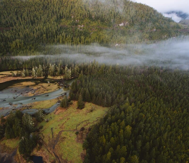 More Precious Than Gold With Tla-o-qui-aht Tribal Parks at Tofino