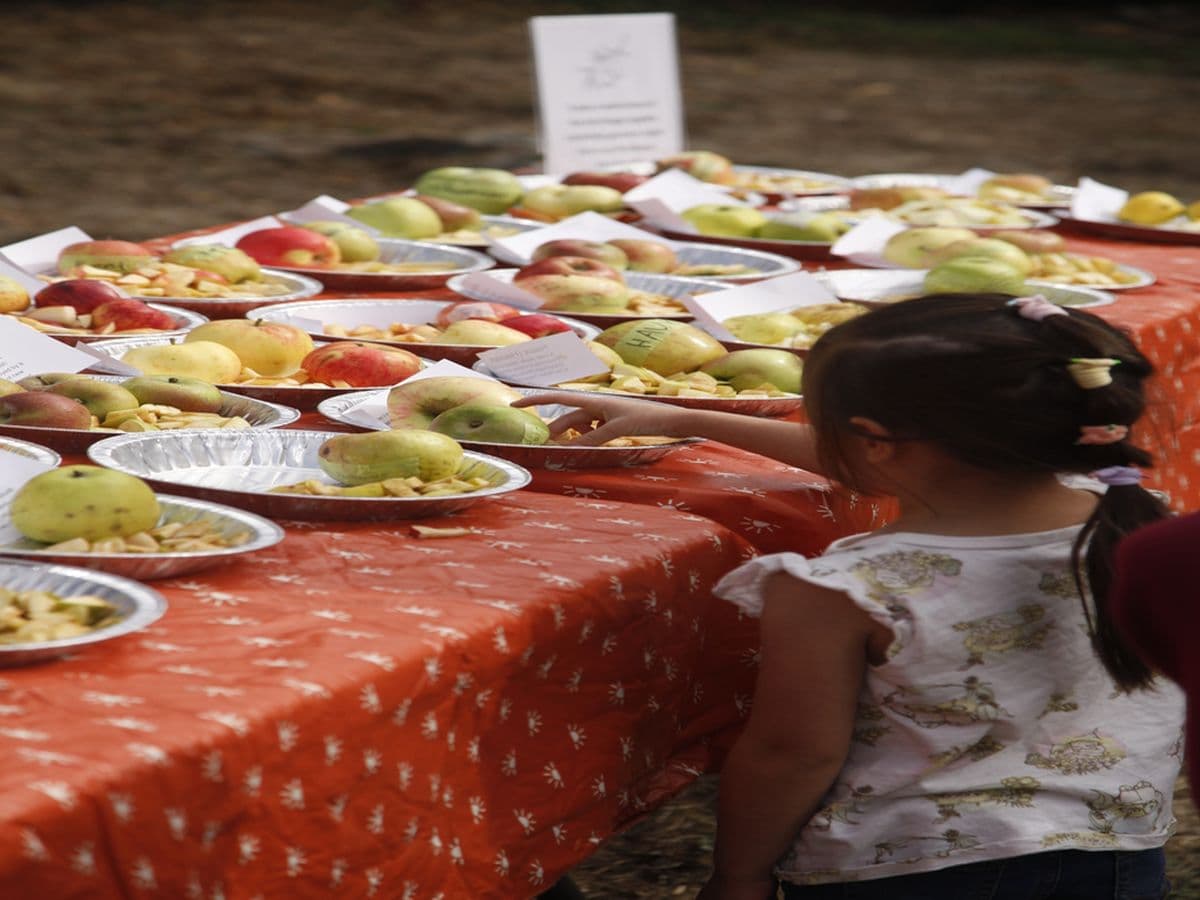 Community Sharing Day at Victoria