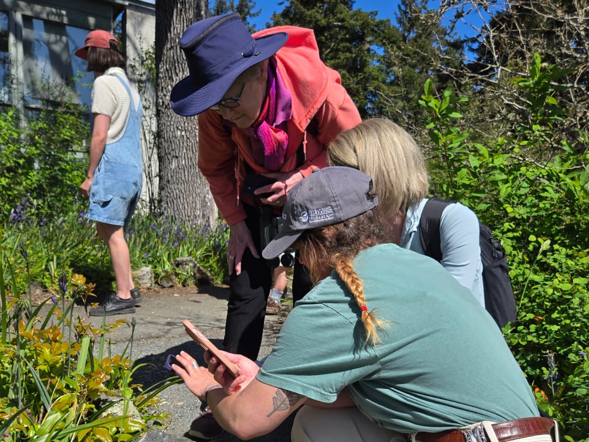 The Great Canadian Bioblitz: iNaturalist at Night at Swan Lake Christmas Hill Nature Sanctuary