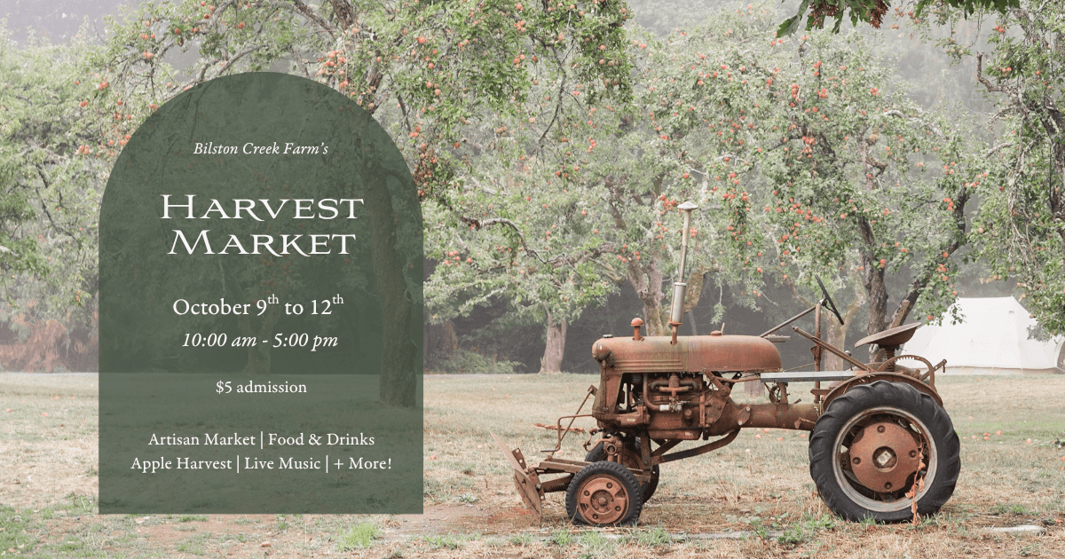 Harvest Market at Bilston Creek Farm at Bilston Creek Farm