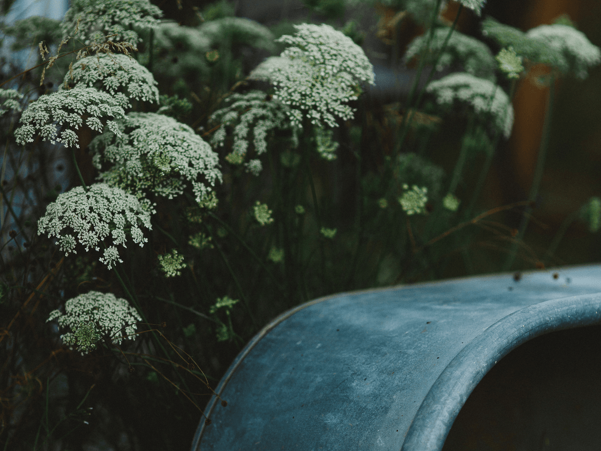 Orchard Market at Junction Orchard & Cidery at Junction Orchard & Cidery