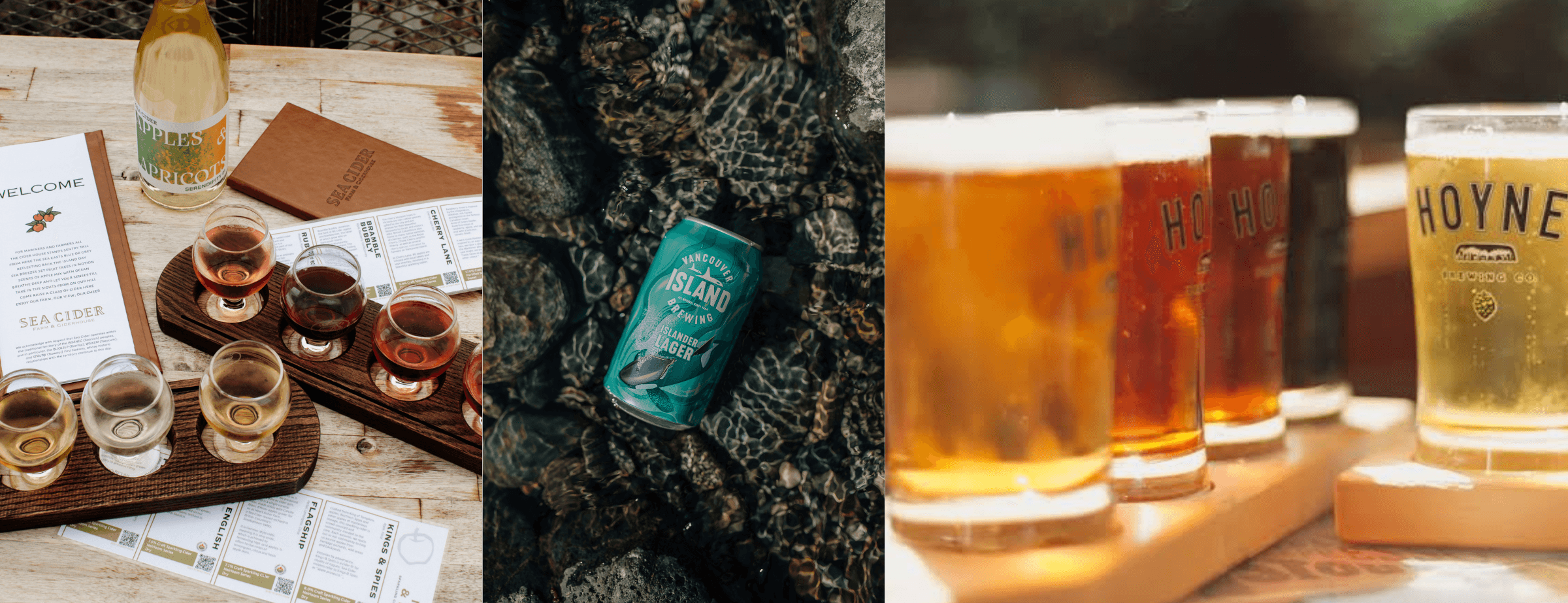 SkyWalk Brewfest: A Craft Beer & Cider Festival at Malahat Skywalk