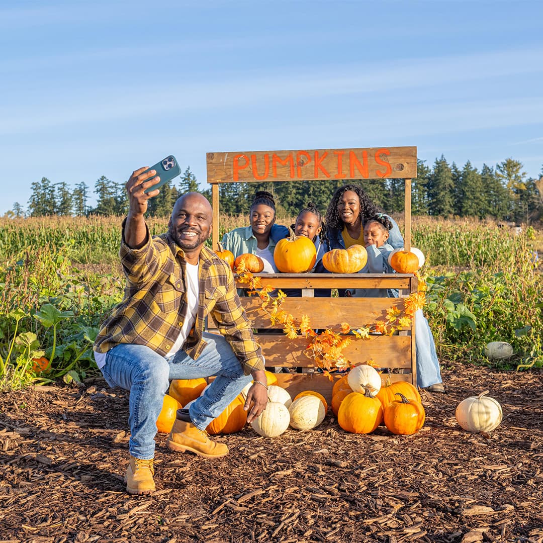 Ocean View Estate Pumpkin Patch & Corn Maze at Ocean View Estates