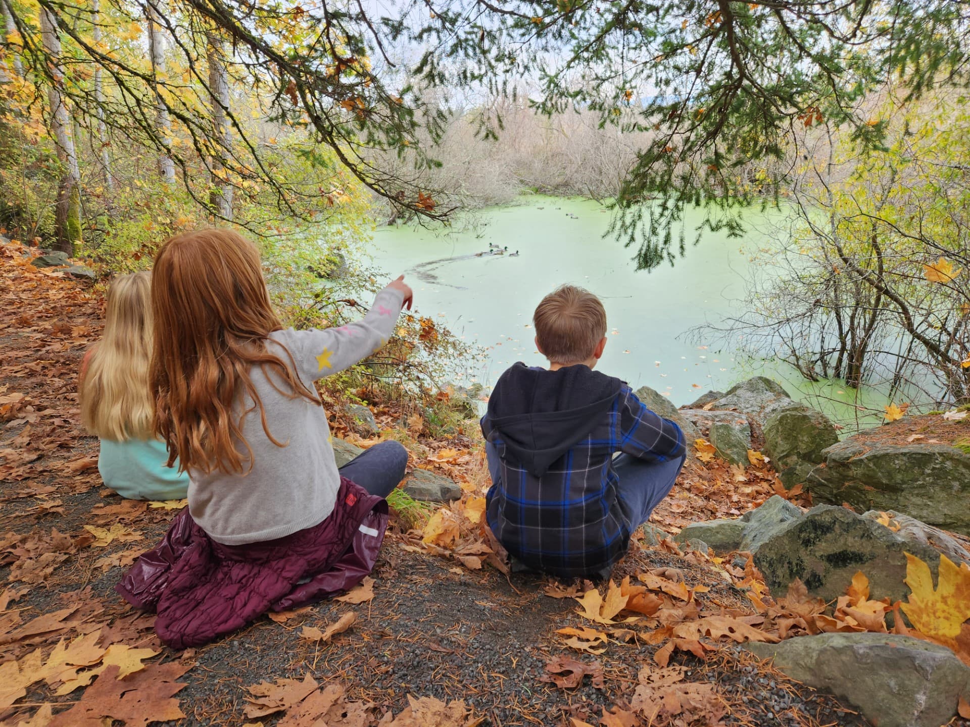 Fall Homeschool Science Series at Swan Lake Christmas Hill Nature Sanctuary