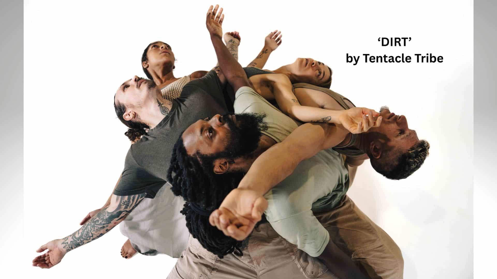 Tentacle Tribe at Tidemark Theatre