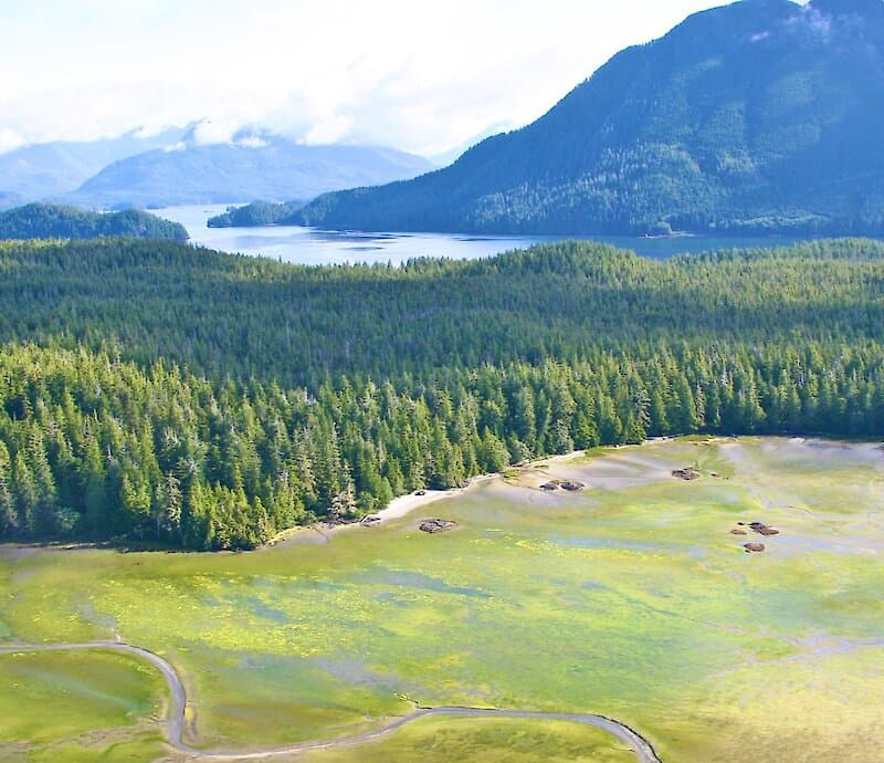 West Coast Ambassador - Small Town Big Picture: Tofino at Tofino