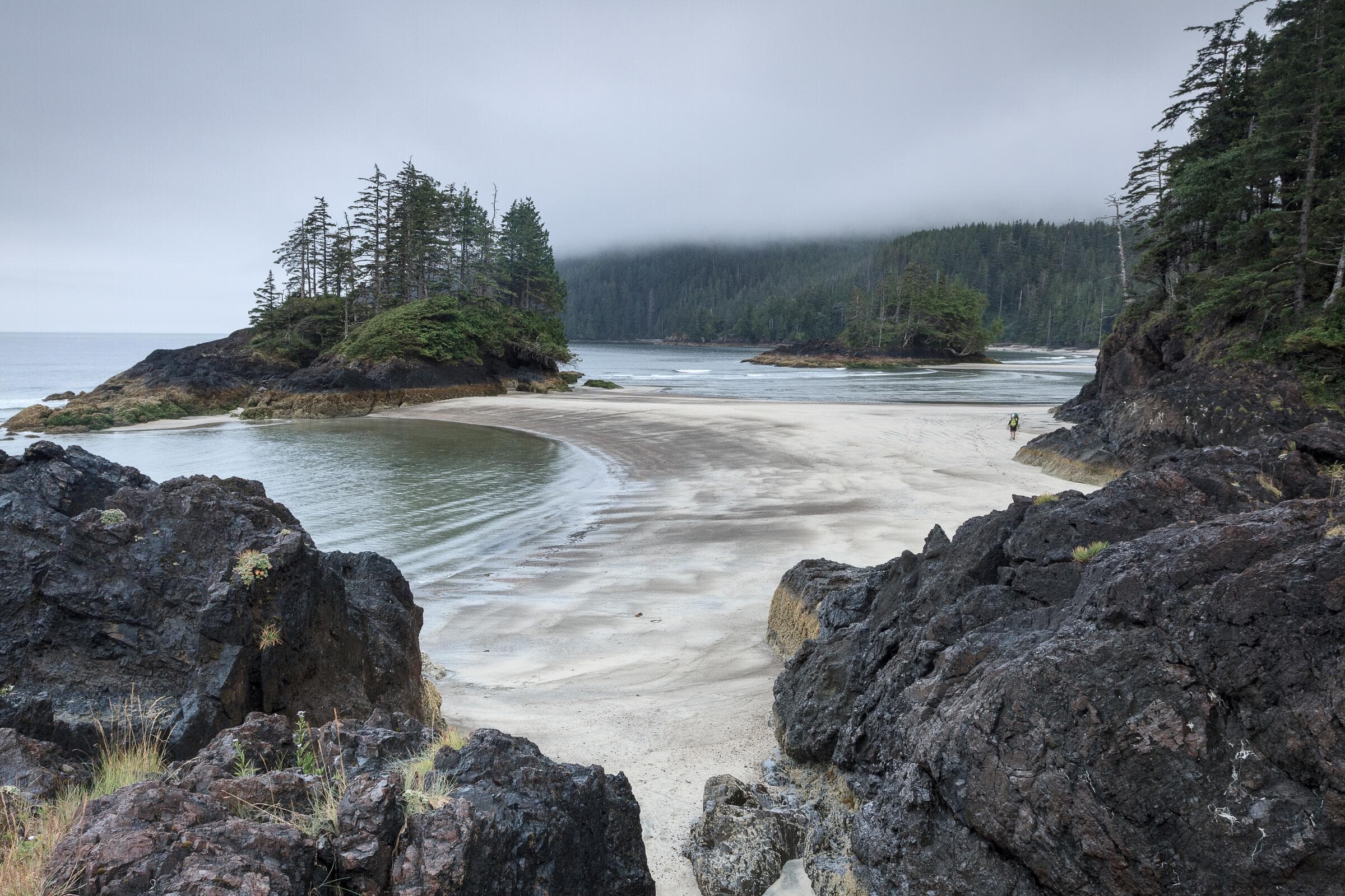 A sandy cove between dark rocks and a forested islet at San Josef Bay, Cape Scott Provincial Park