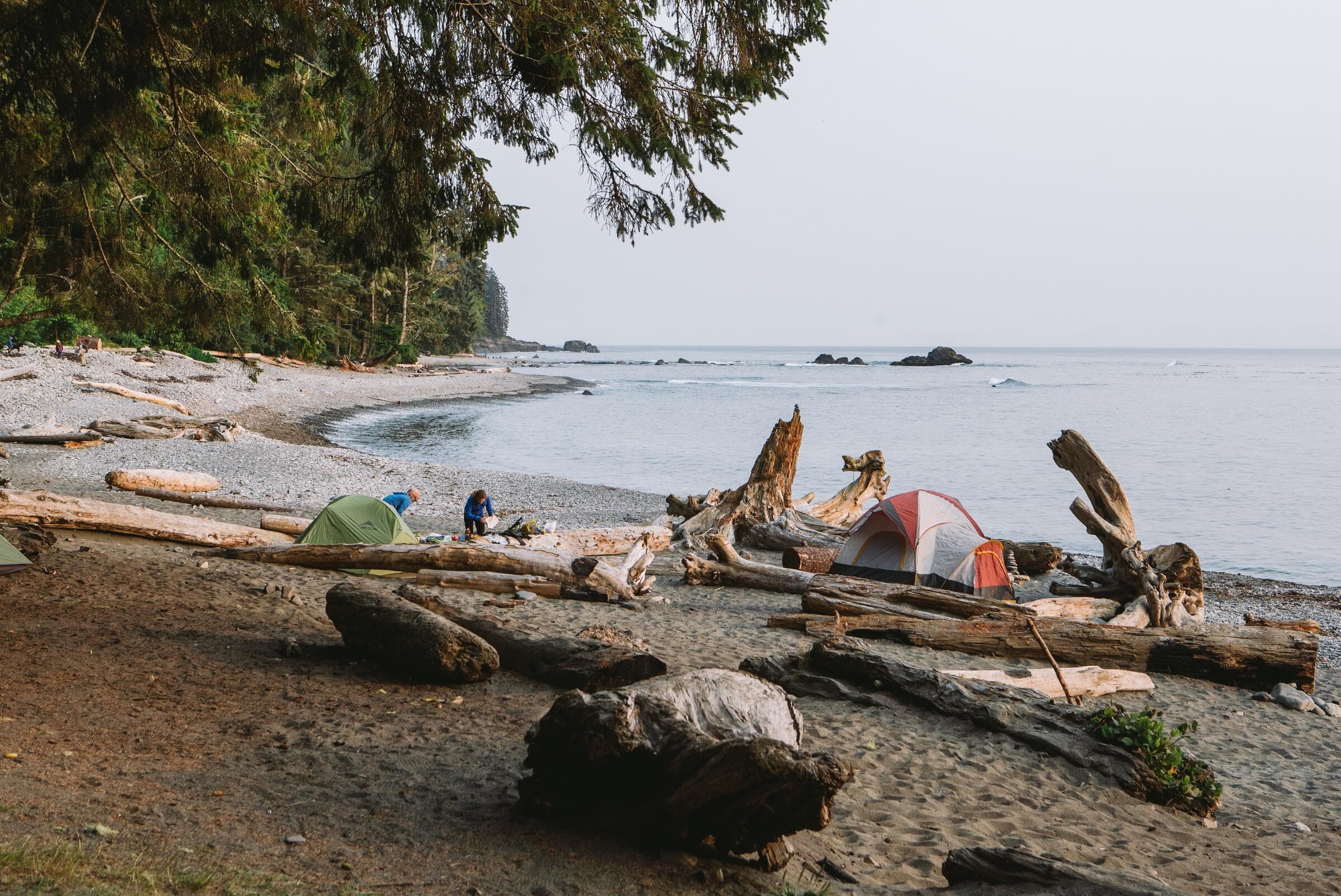 Tents pitched among driftwood on Sombrio Beach