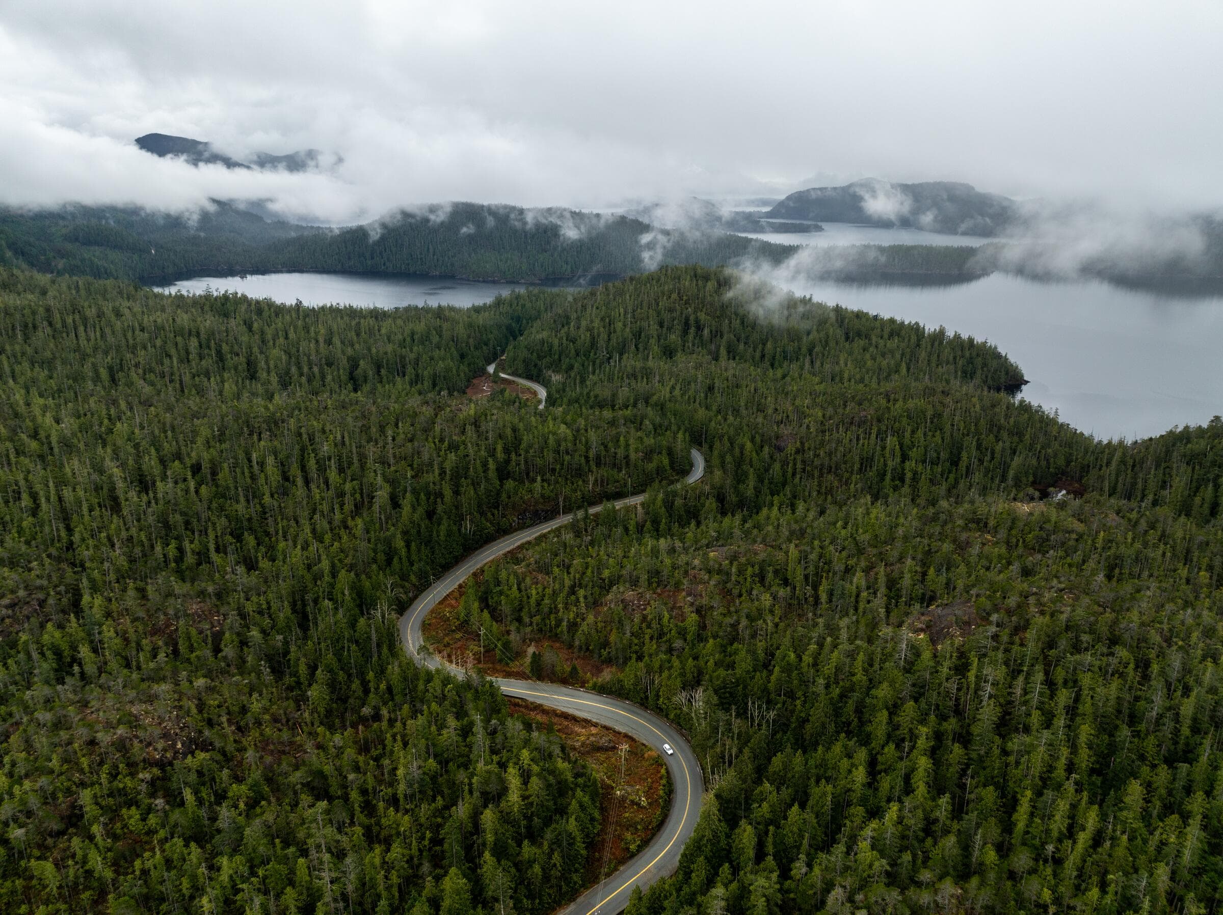 Highway 4 winding through rainforest towards Ucluelet under low cloud