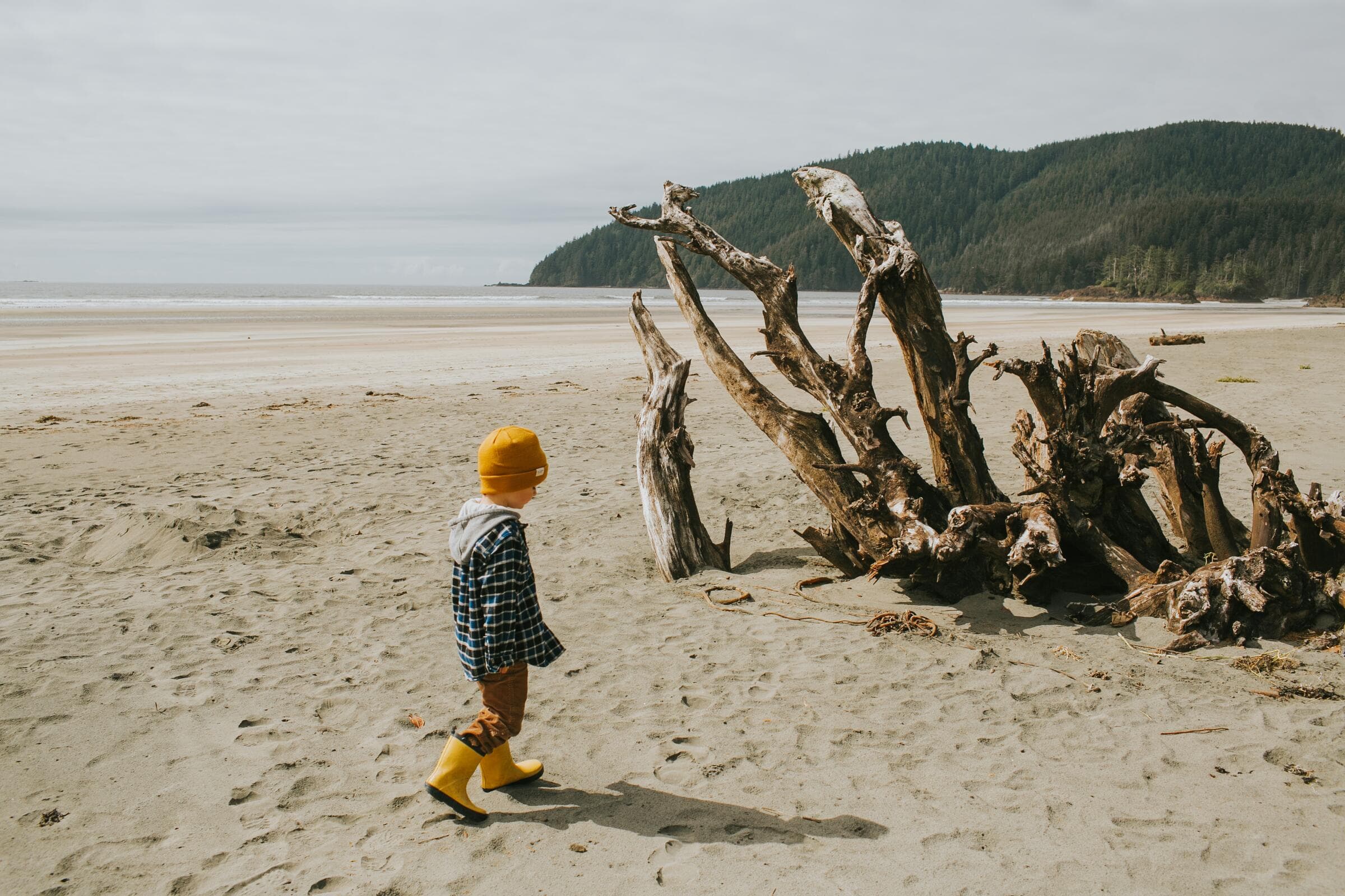A child beachcombing beside driftwood at San Josef Bay
