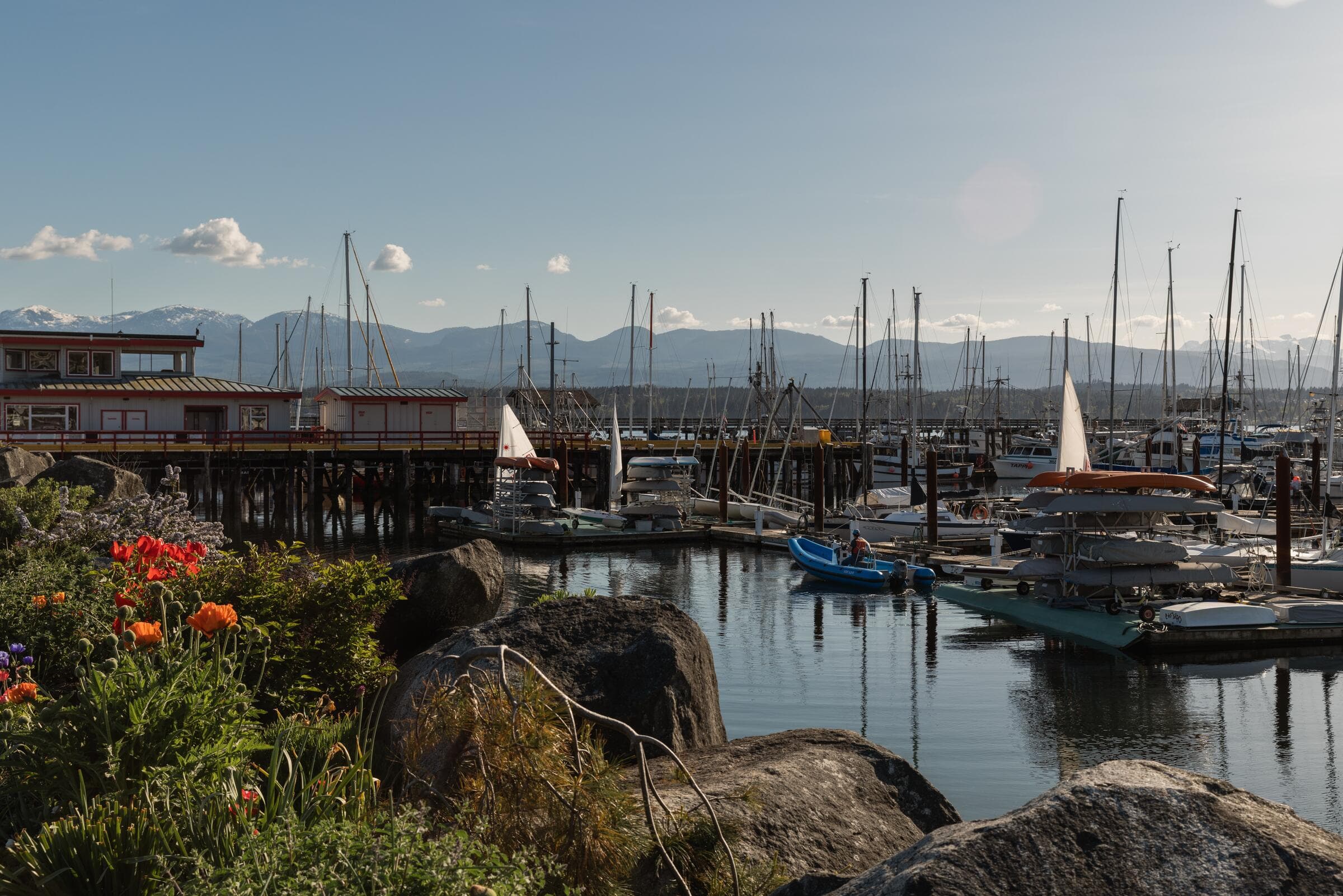 Sailboats in Comox Harbour below the Beaufort Range