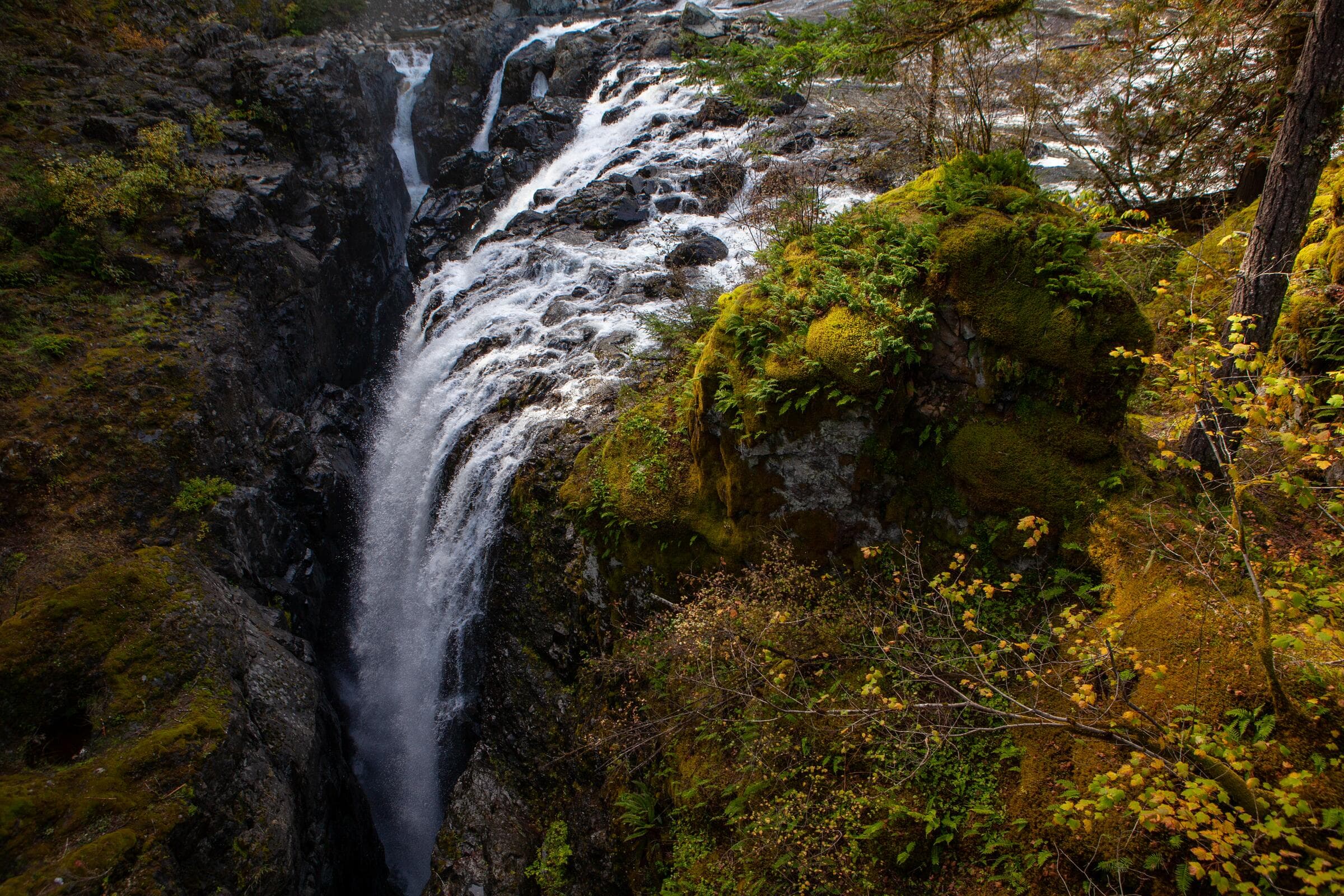 Englishman River Falls dropping into a mossy canyon in autumn