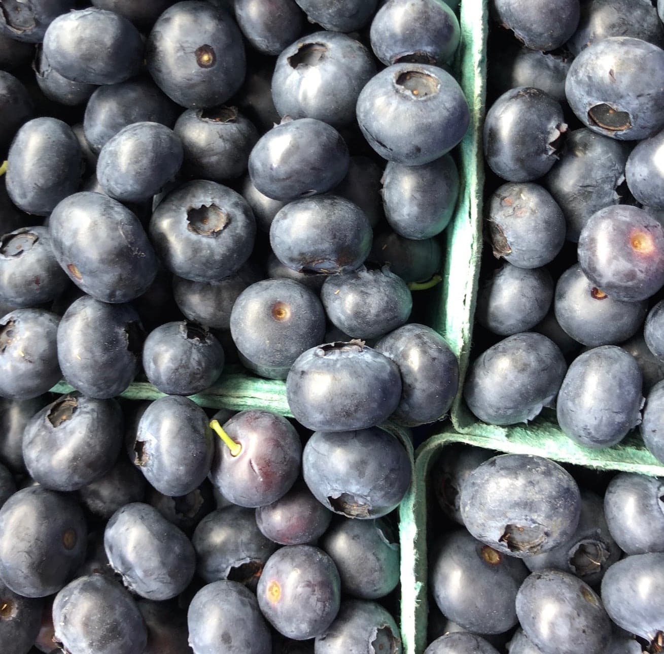 Amara Farm in Comox Valley