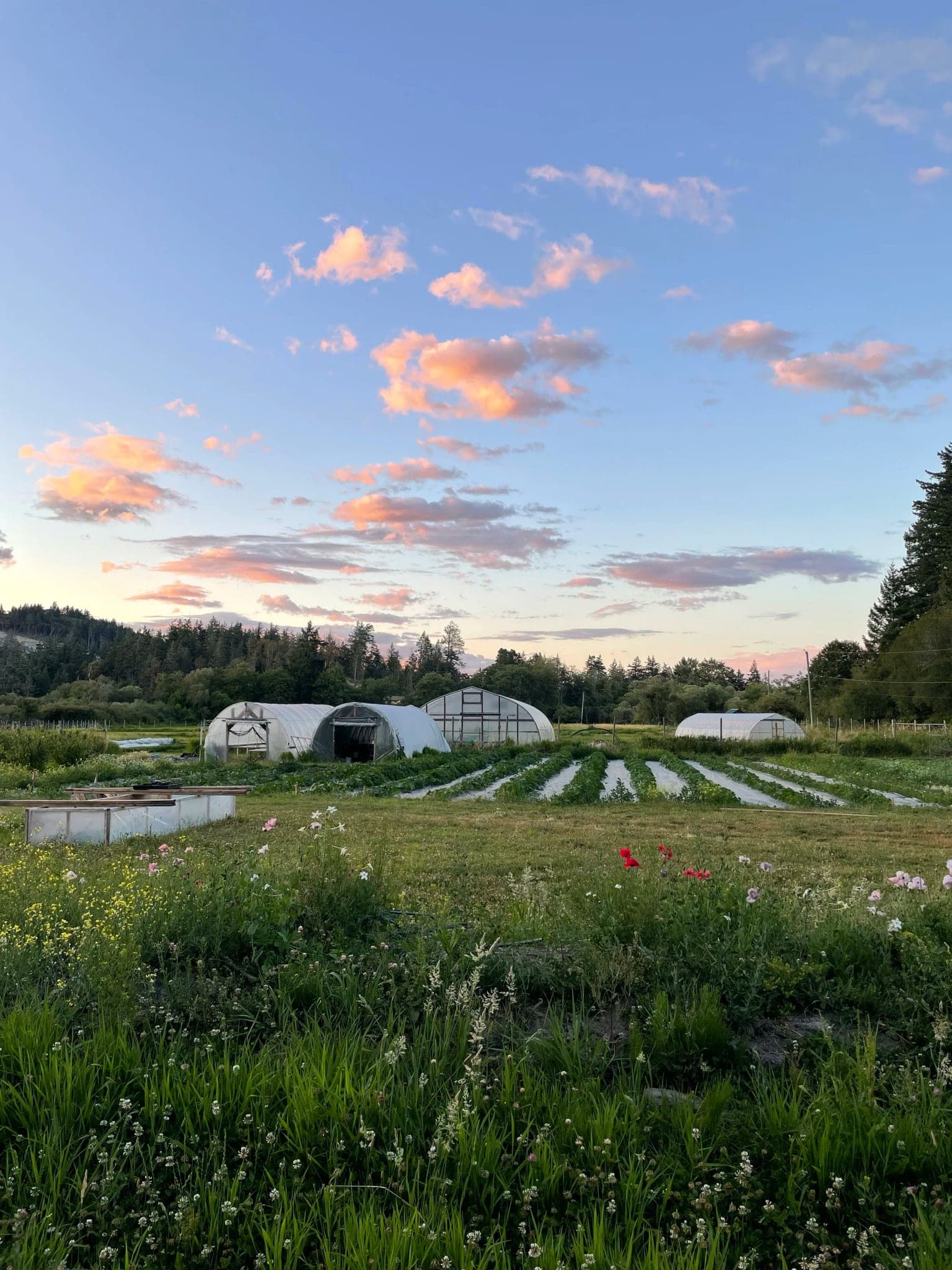 Lohbrunner Community Farm in Victoria