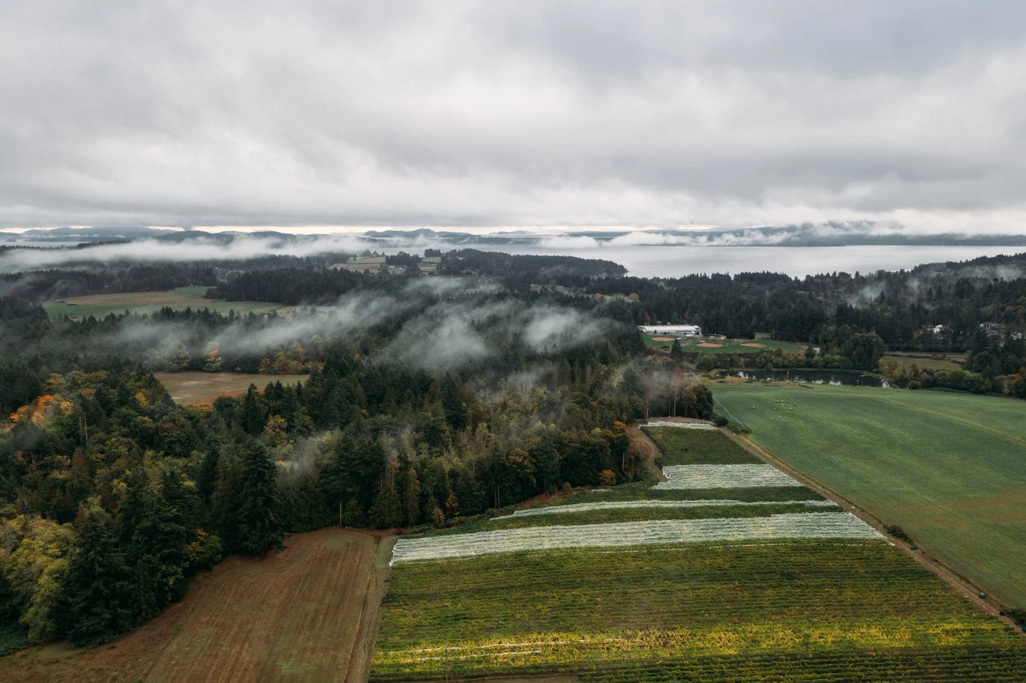 Unsworth Vineyards in Duncan