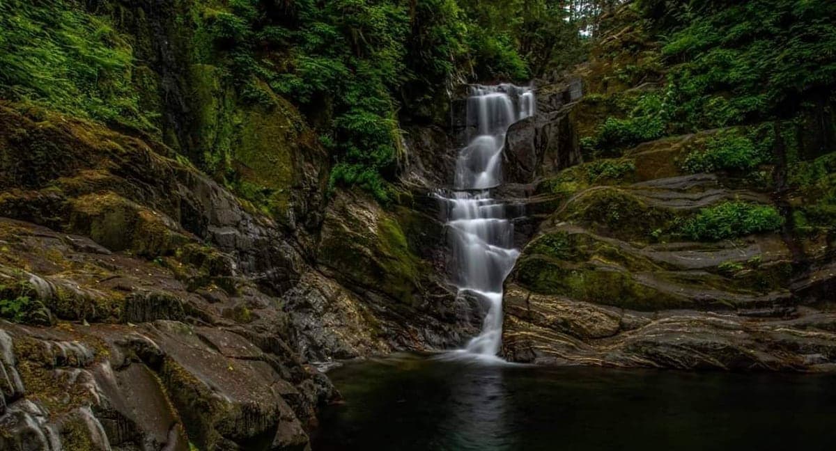 Scenery tours Vancouver Island in Nanaimo