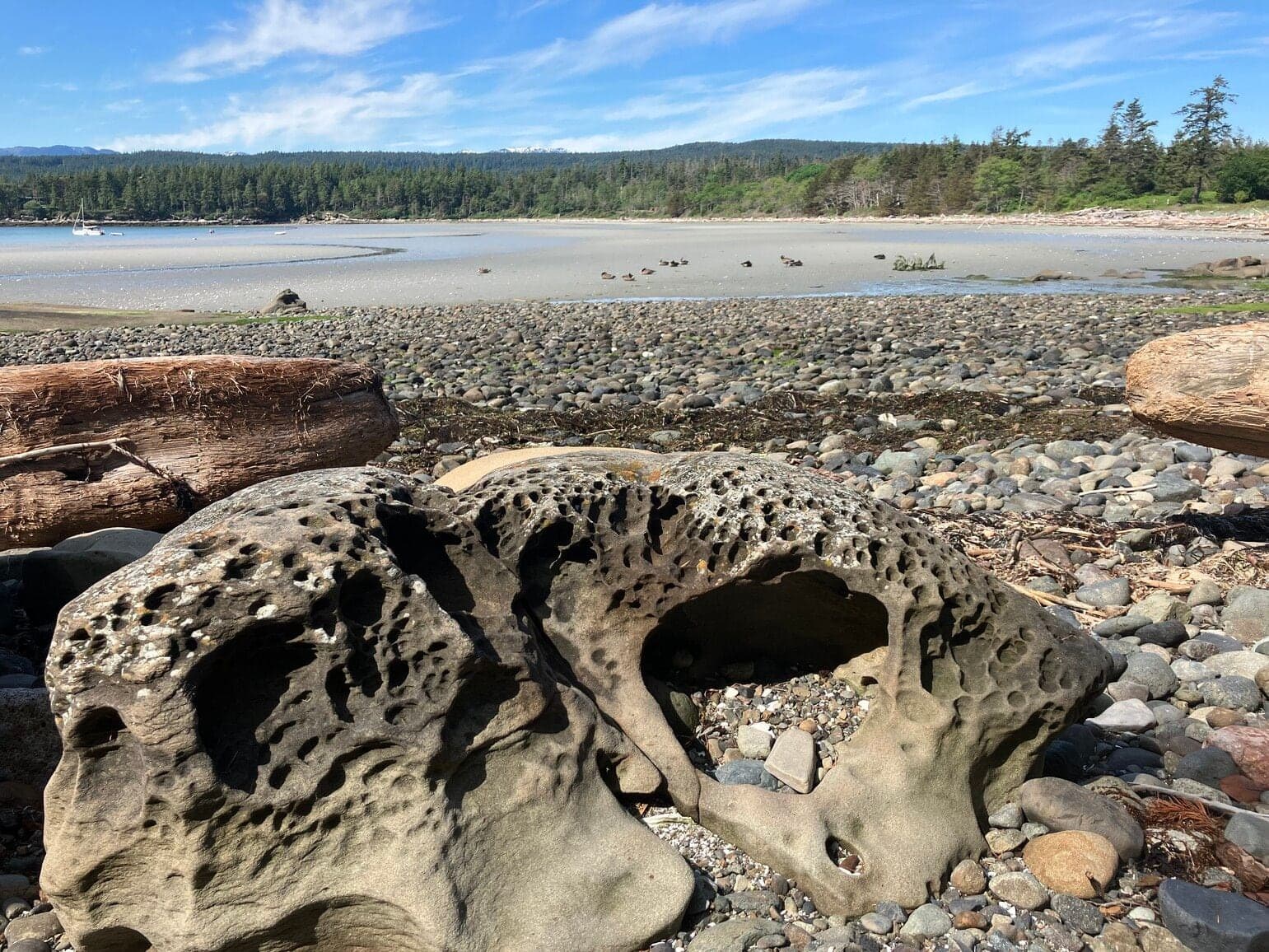 Tribune Bay Campsite in Hornby Island