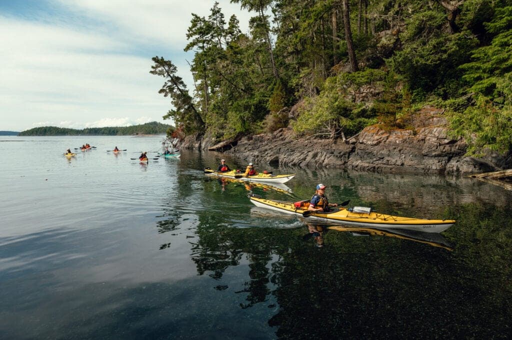 Kingfisher Wilderness Adventures - Sea Kayaking Tours in Port McNeill