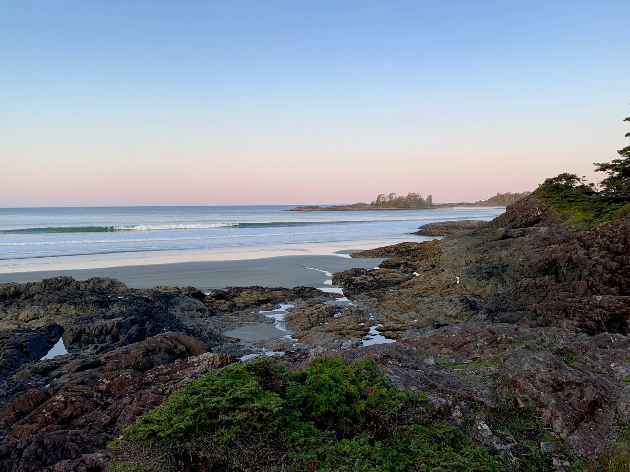 Tofino Guide in Tofino