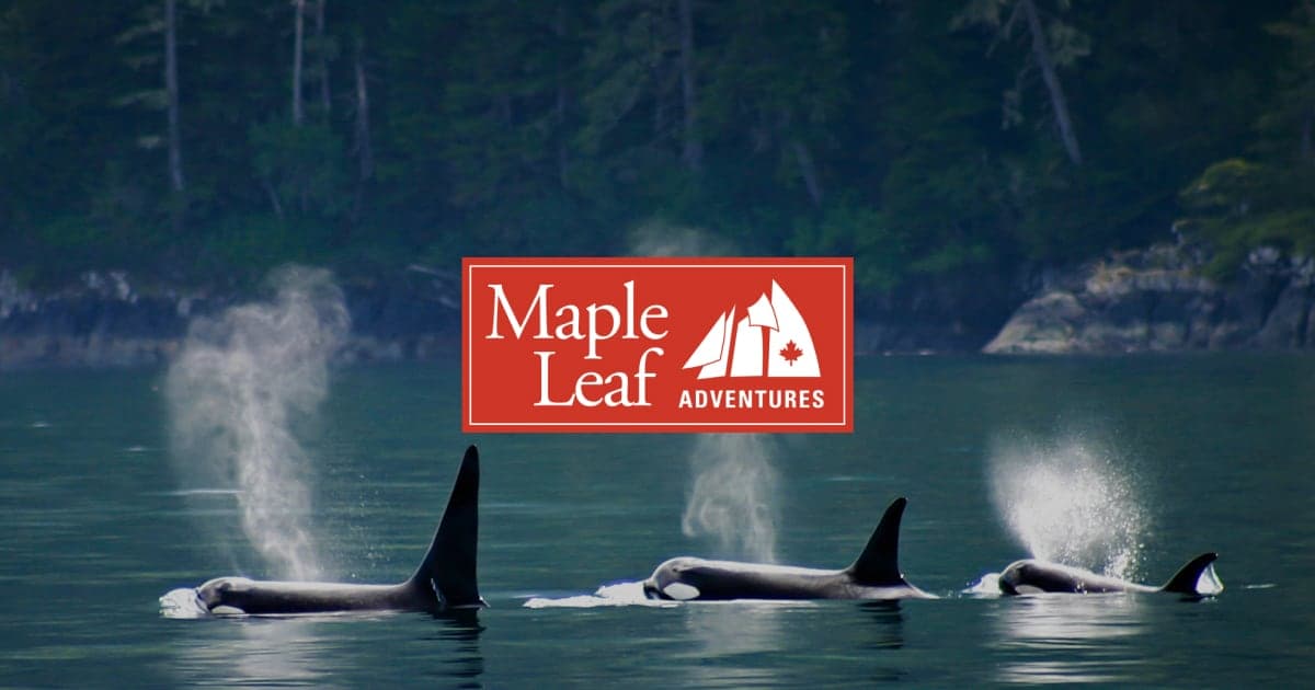Maple Leaf Adventures in Victoria