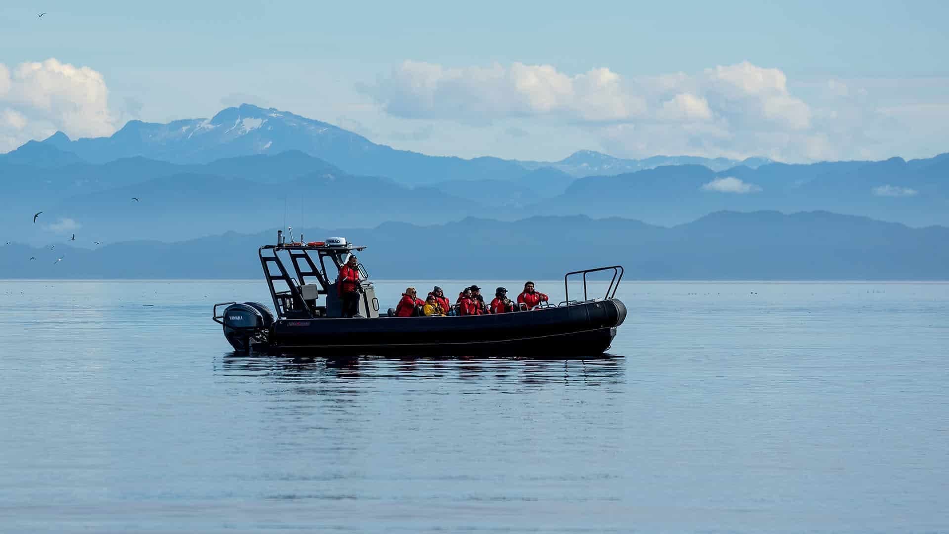 Coastal Rainforest Safaris in Port Hardy