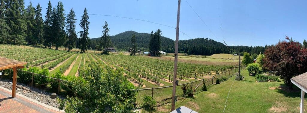 Silverside Farm in Duncan