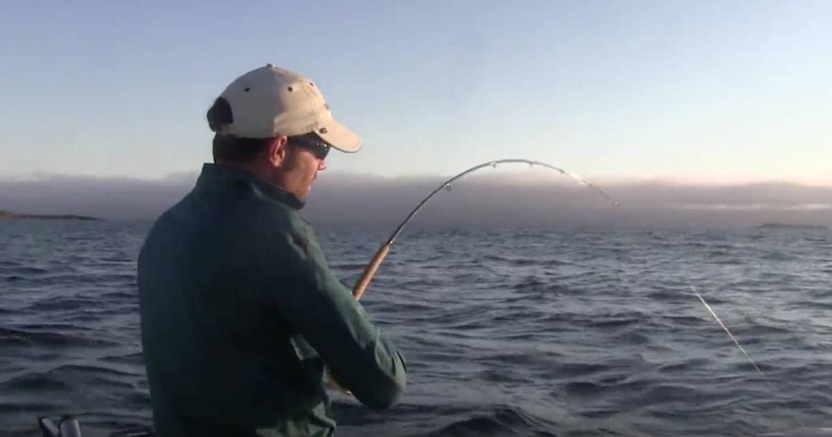Salmon Eye Charters in Ucluelet