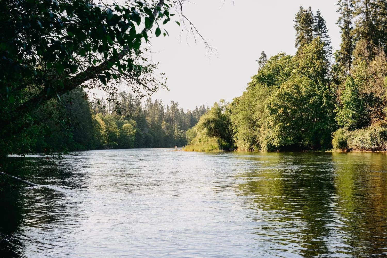 Arrowvale Campground, Farm & Cafe in Port Alberni