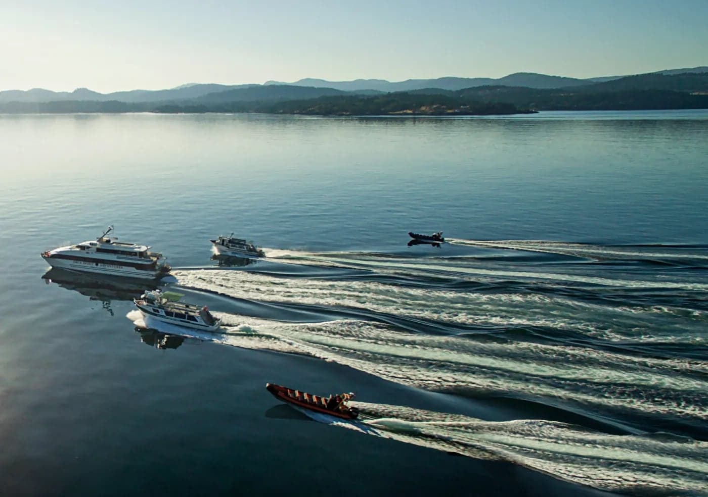 Orca Spirit Adventures Zodiac Whale Watching in Victoria