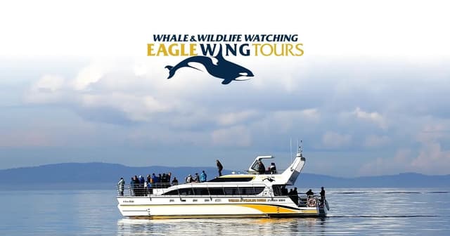 Eagle Wing Whale & Wildlife Tours in Victoria