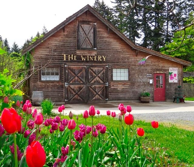 Starling Lane Vineyard in Victoria