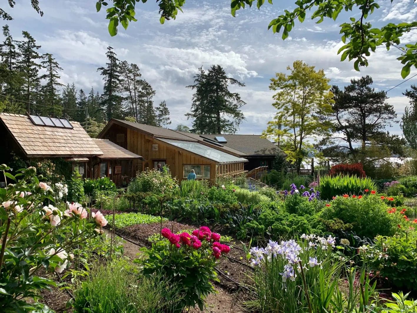 Hollyhock Leadership Center in Campbell River