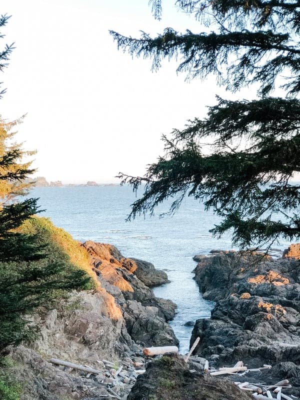 Wild Pacific Water Front Cabins in Ucluelet
