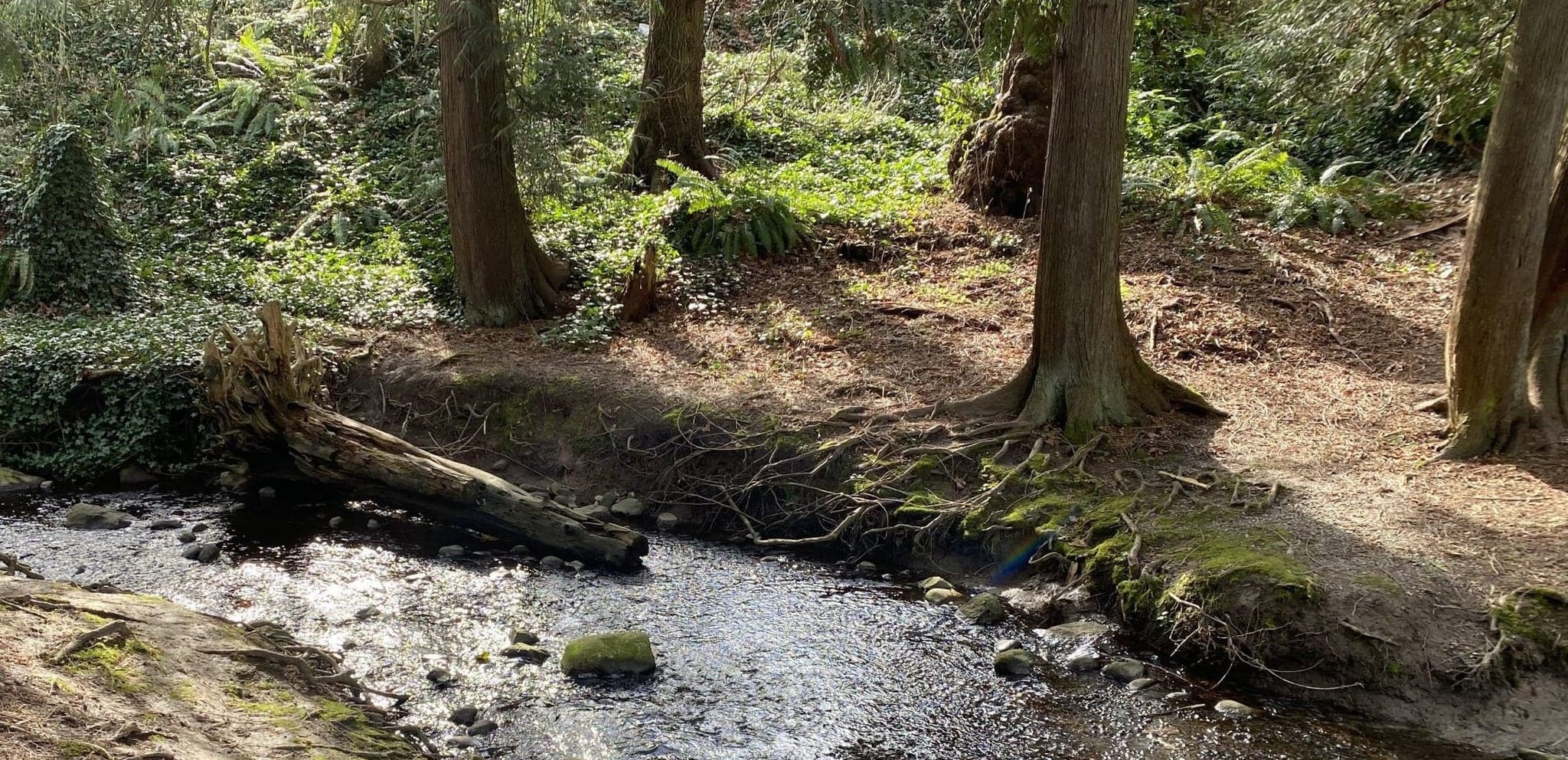 Reay Creek Park in Sidney