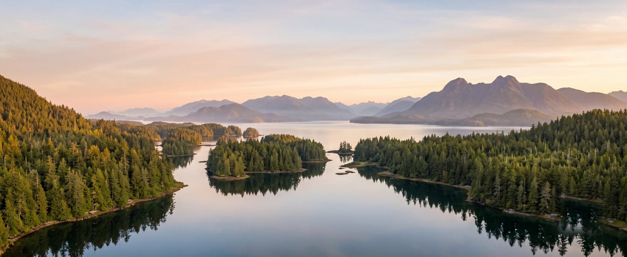 CatFace Charters in Tofino