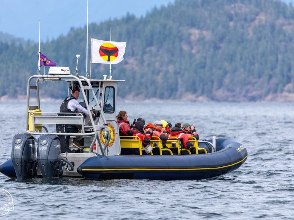 Eagle Eye Adventures in Campbell River