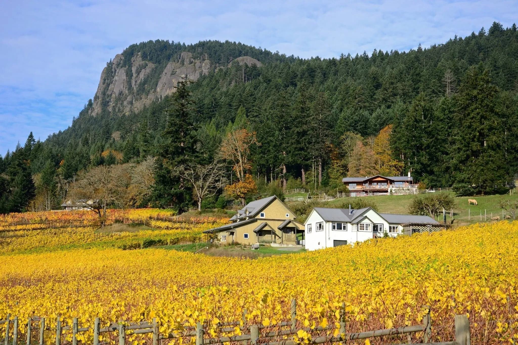 Garry Oaks Estate Winery in Salt Spring Island