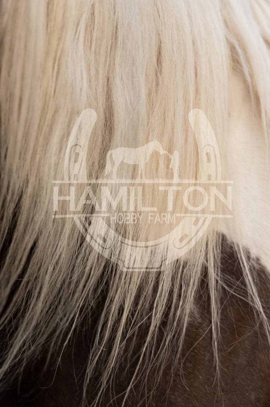 Hamilton Hobby Farm in Qualicum Beach