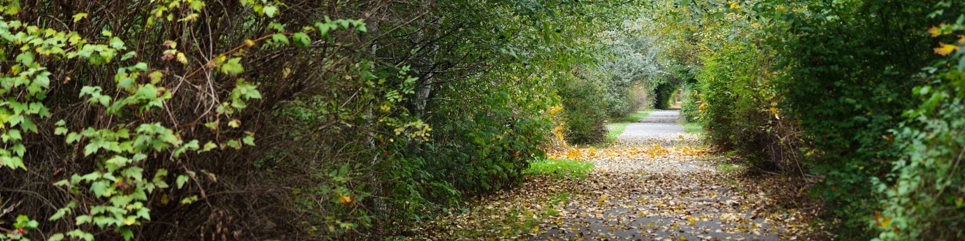 Rotary Beach Park in Campbell River