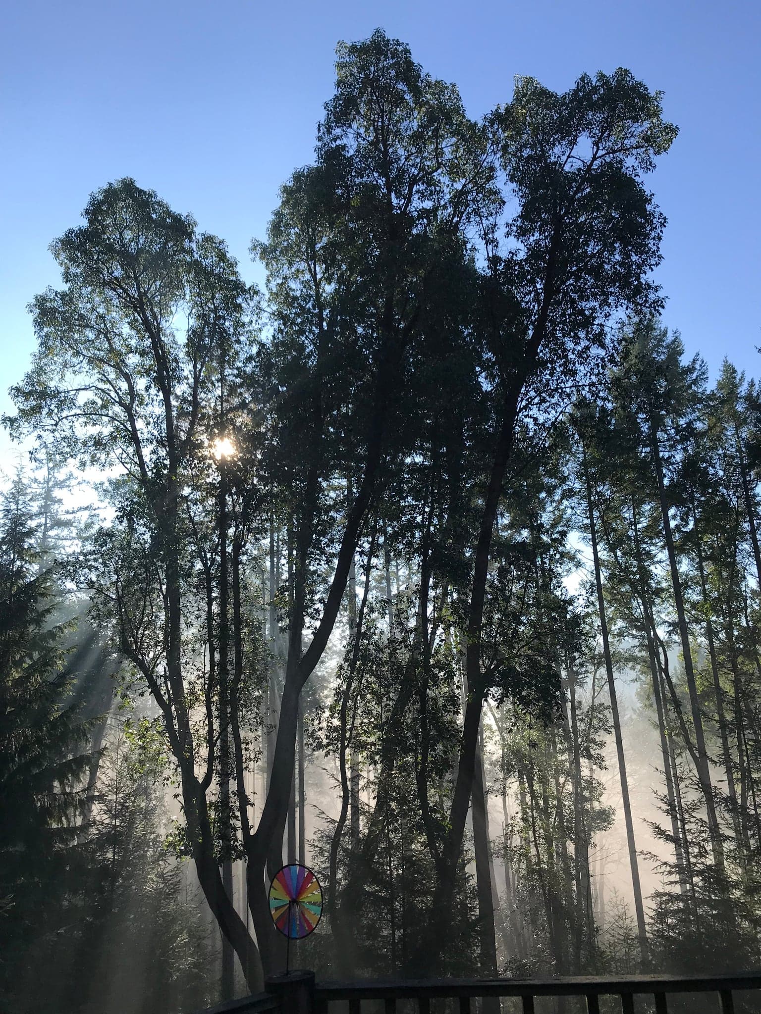 FIVE ELEMENTS Ecotherapy Lodge Retreat and Spa B&B in Salt Spring Island