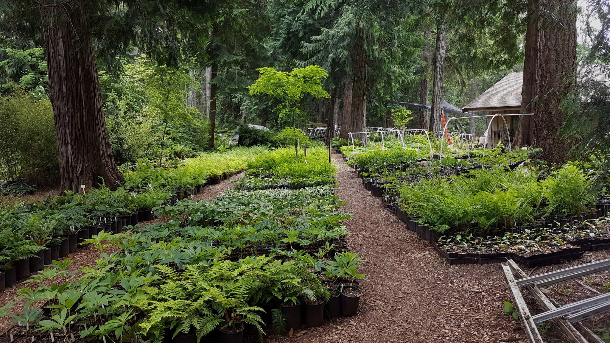 Fraser's Thimble Farm in Chemainus