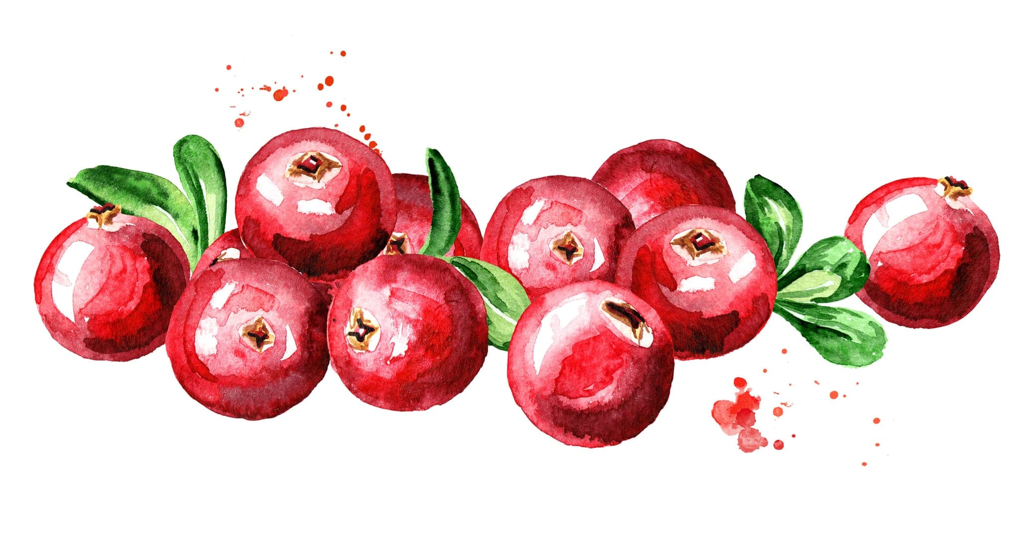 Yellow Point Cranberries in Chemainus