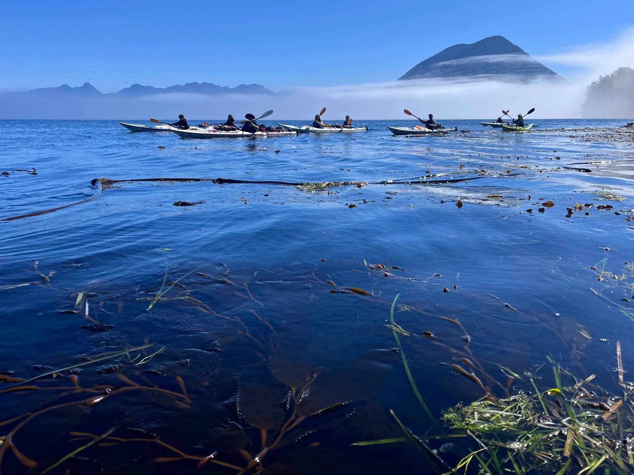 Coastal Current Adventures in Salt Spring Island