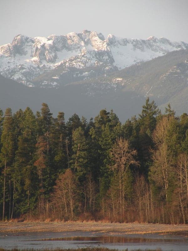Middlegate RV PARK in Parksville
