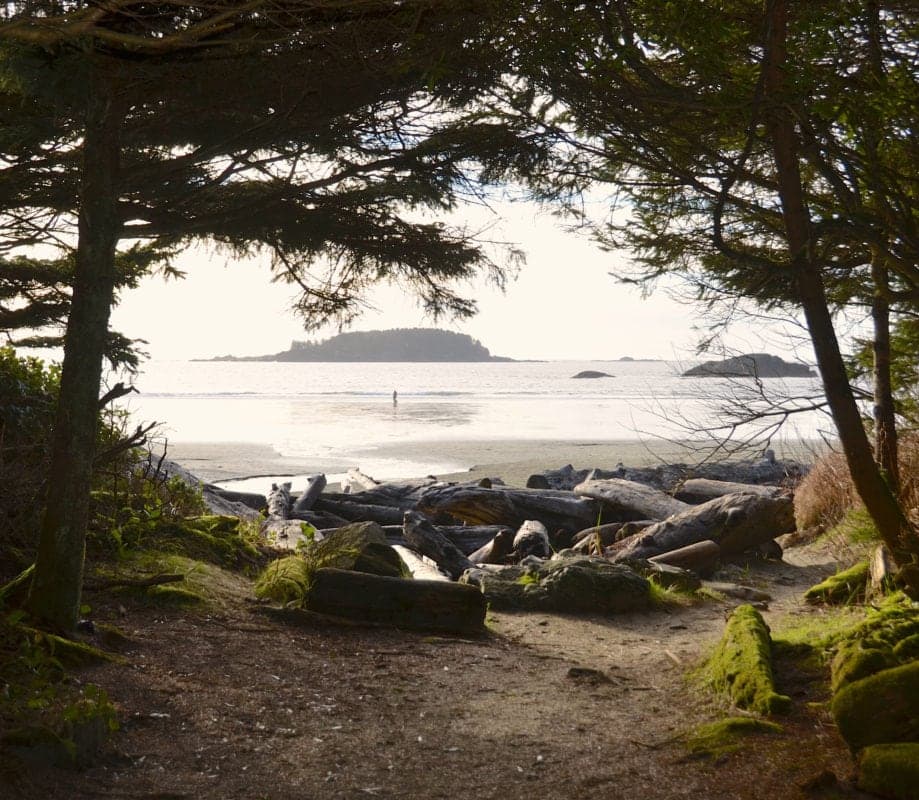 The Point at Chesterman in Tofino