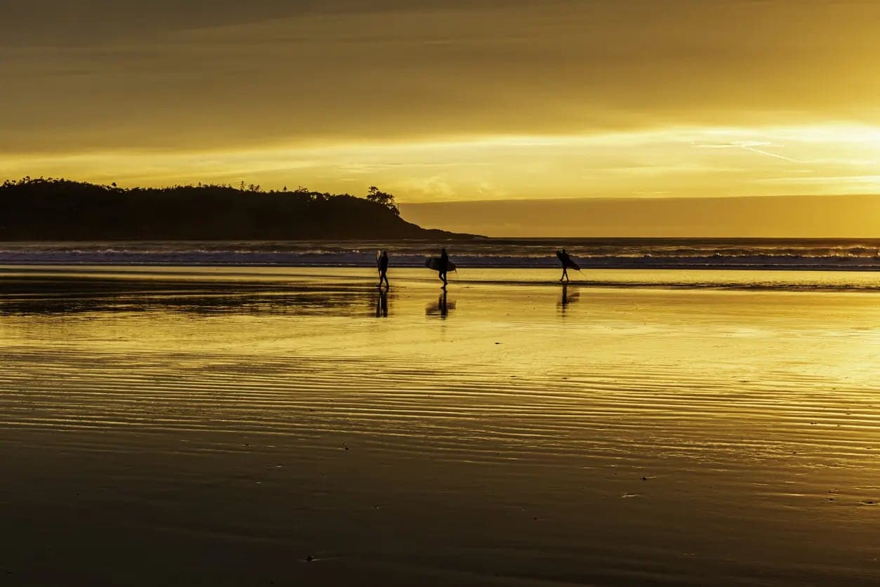 Tofino Surf School in Tofino